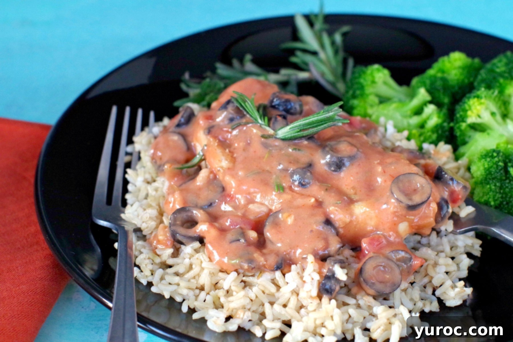 Pork with Creamy Mushroom Salsa 2 Pork with Creamy mushroom salsa sauce on bed of rice with frozen broccoli