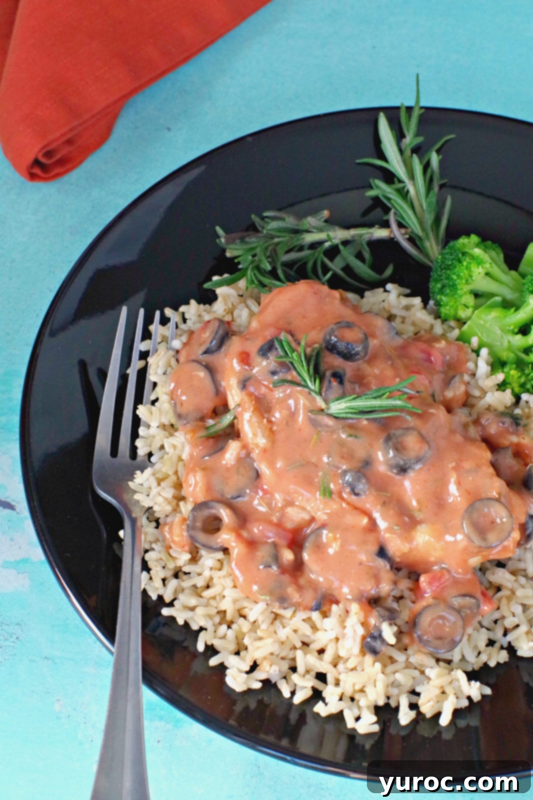 Pork with Creamy Mushroom Salsa 3 Pork with Creamy mushroom salsa sauce on bed of rice with frozen broccoli