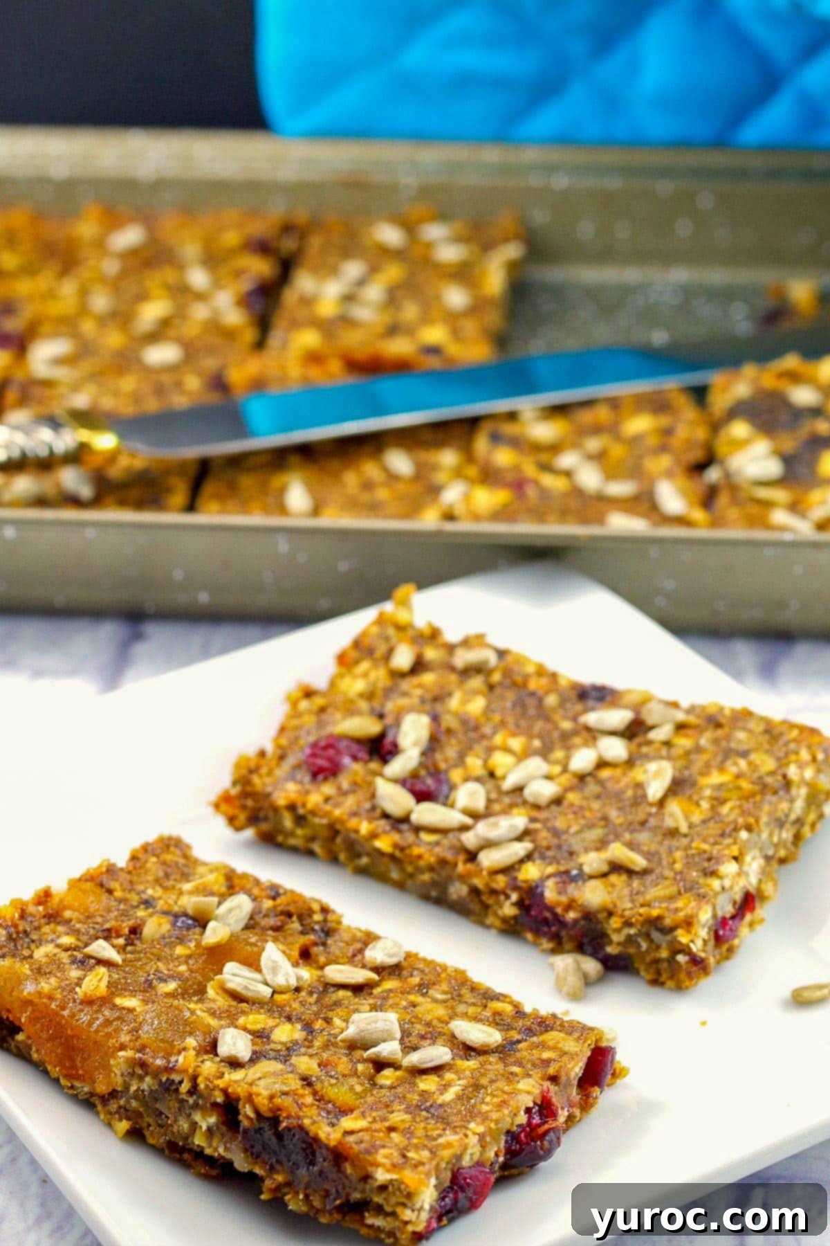 Two healthy oatmeal fruit bars on a plate with more in a baking pan in the background, perfect for meal prep.