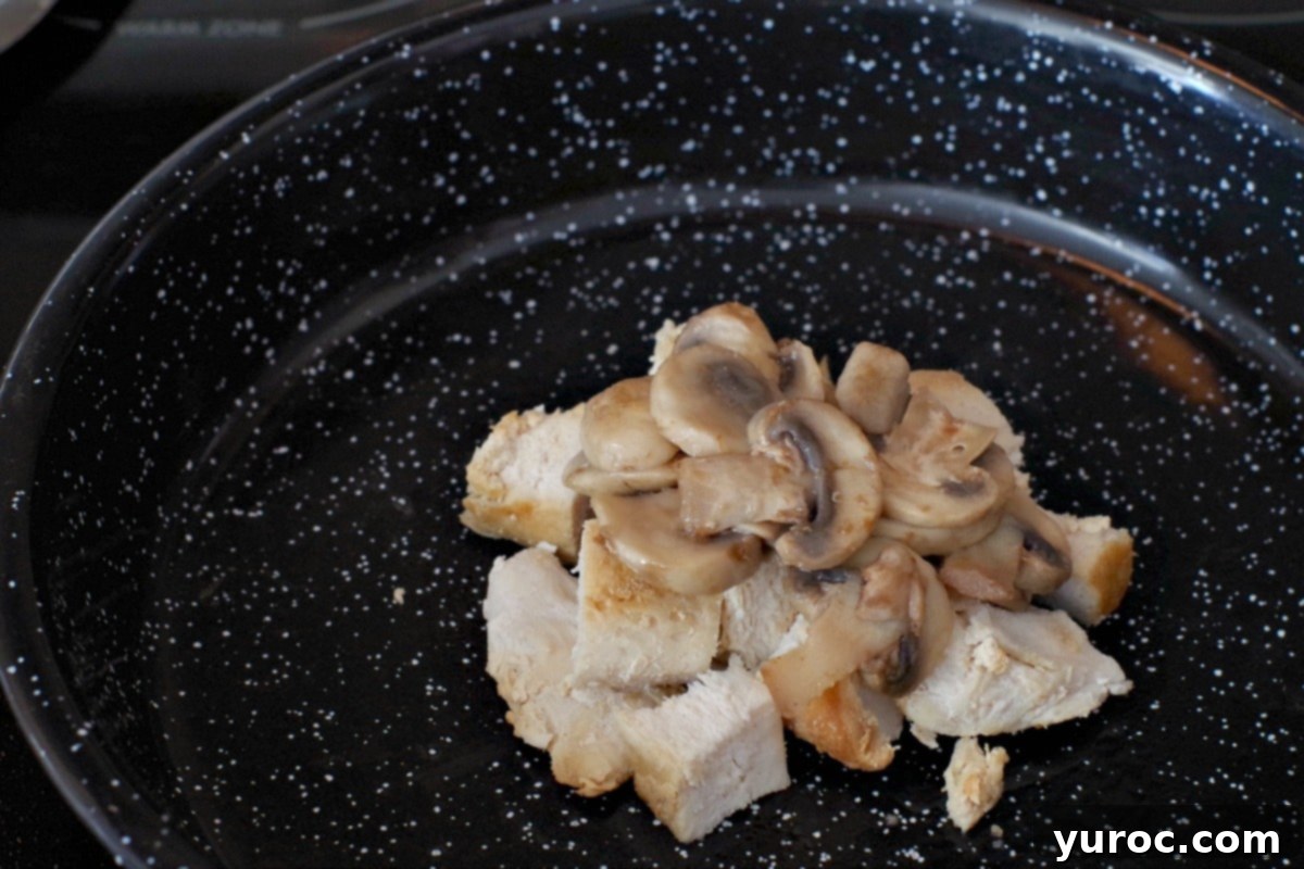 sauteed mushrooms on diced chicken breast