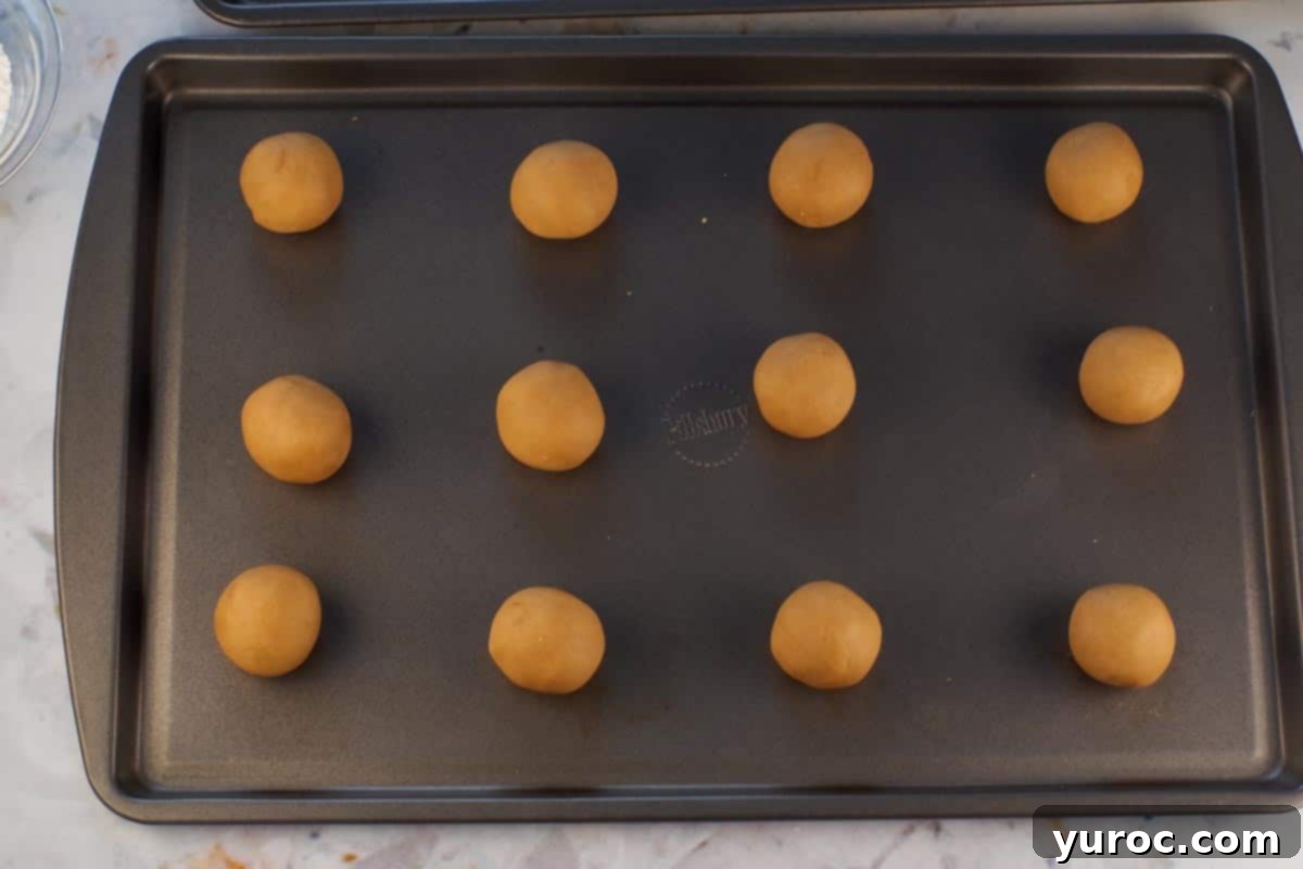 Dough formed into balls on ungreased cookie sheet