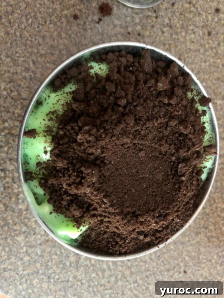 Oreo ("dirt") on pudding
