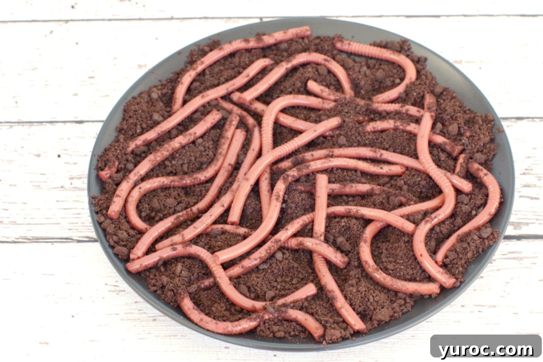 jello worm in dirt (Oreo cookie crumbs) on plate