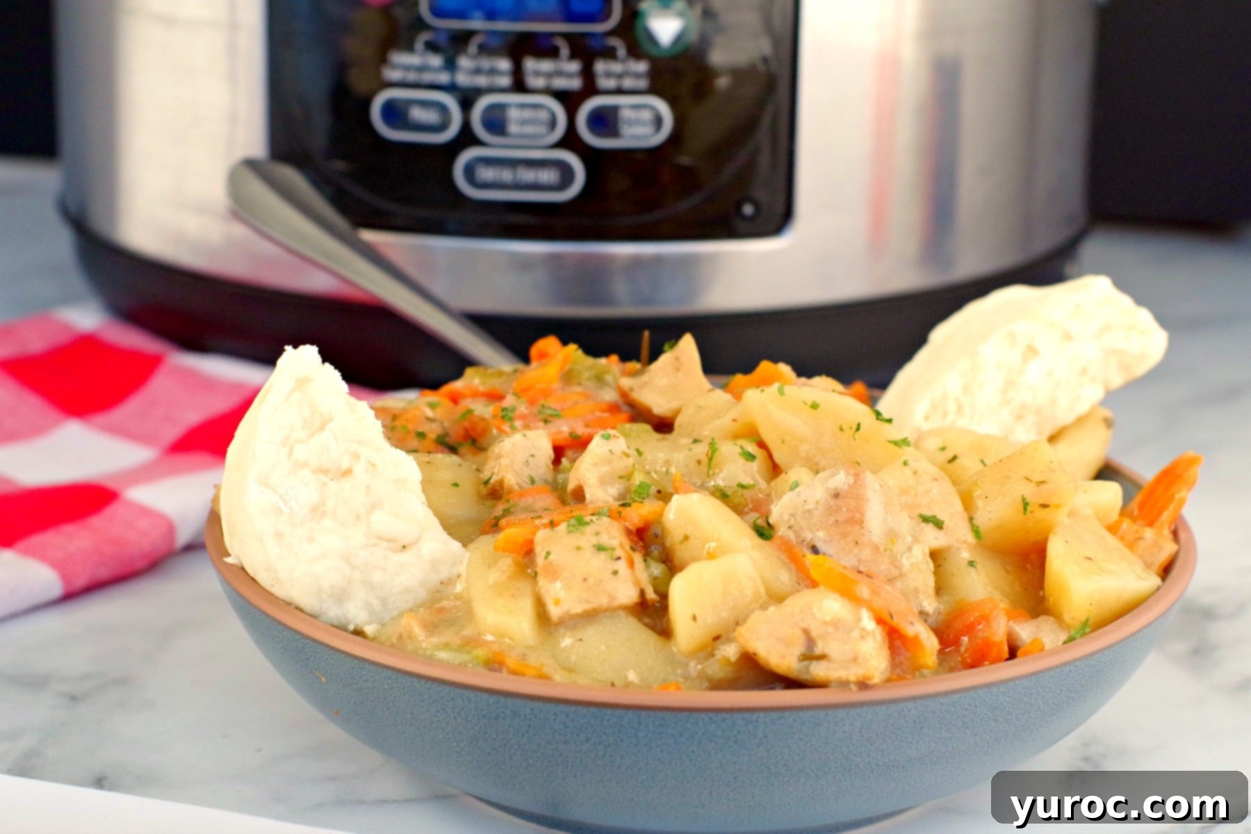 Nourishing Slow Cooker Chicken Stew 1 chicken stew in blue bowl with slow cooker in the background
