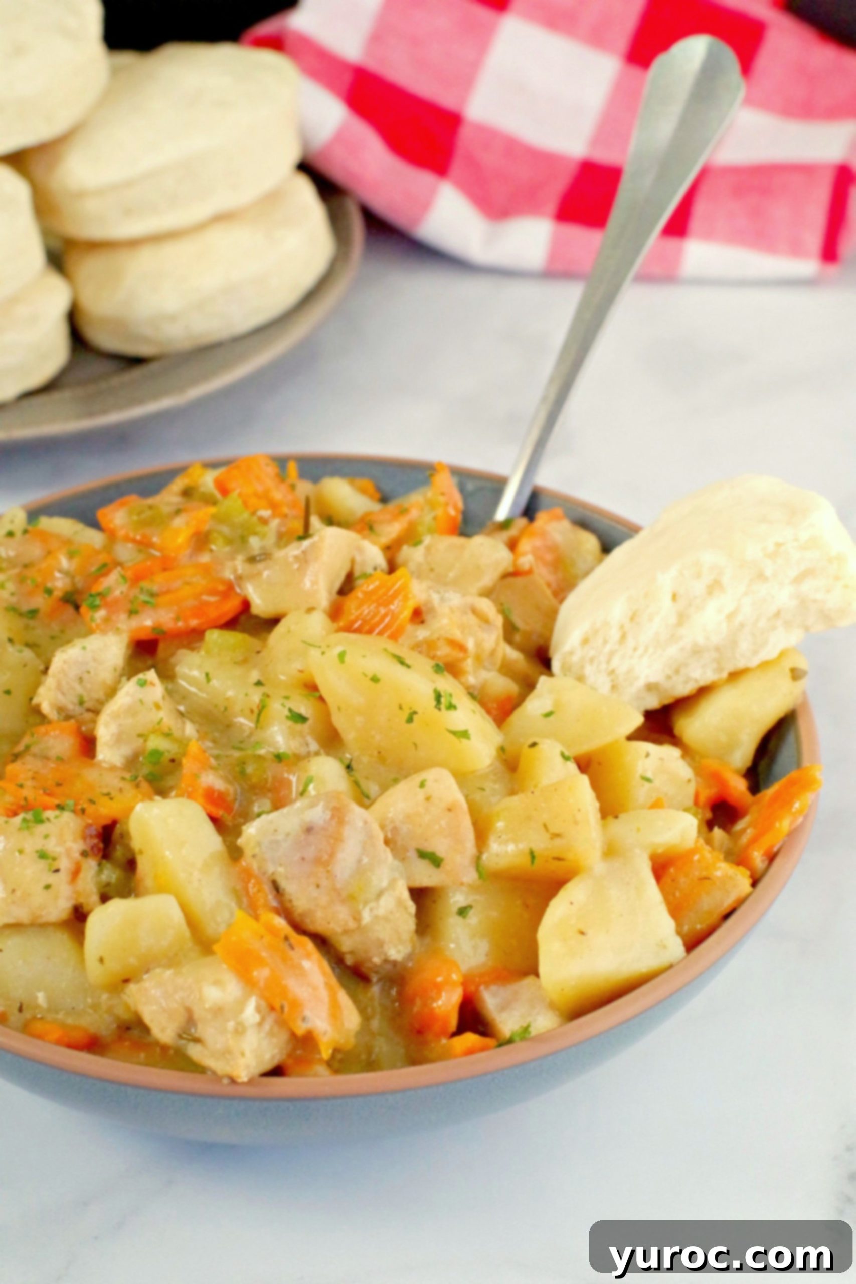 Nourishing Slow Cooker Chicken Stew 11 slow cooker chicken stew in blue bowl with biscuit on the side