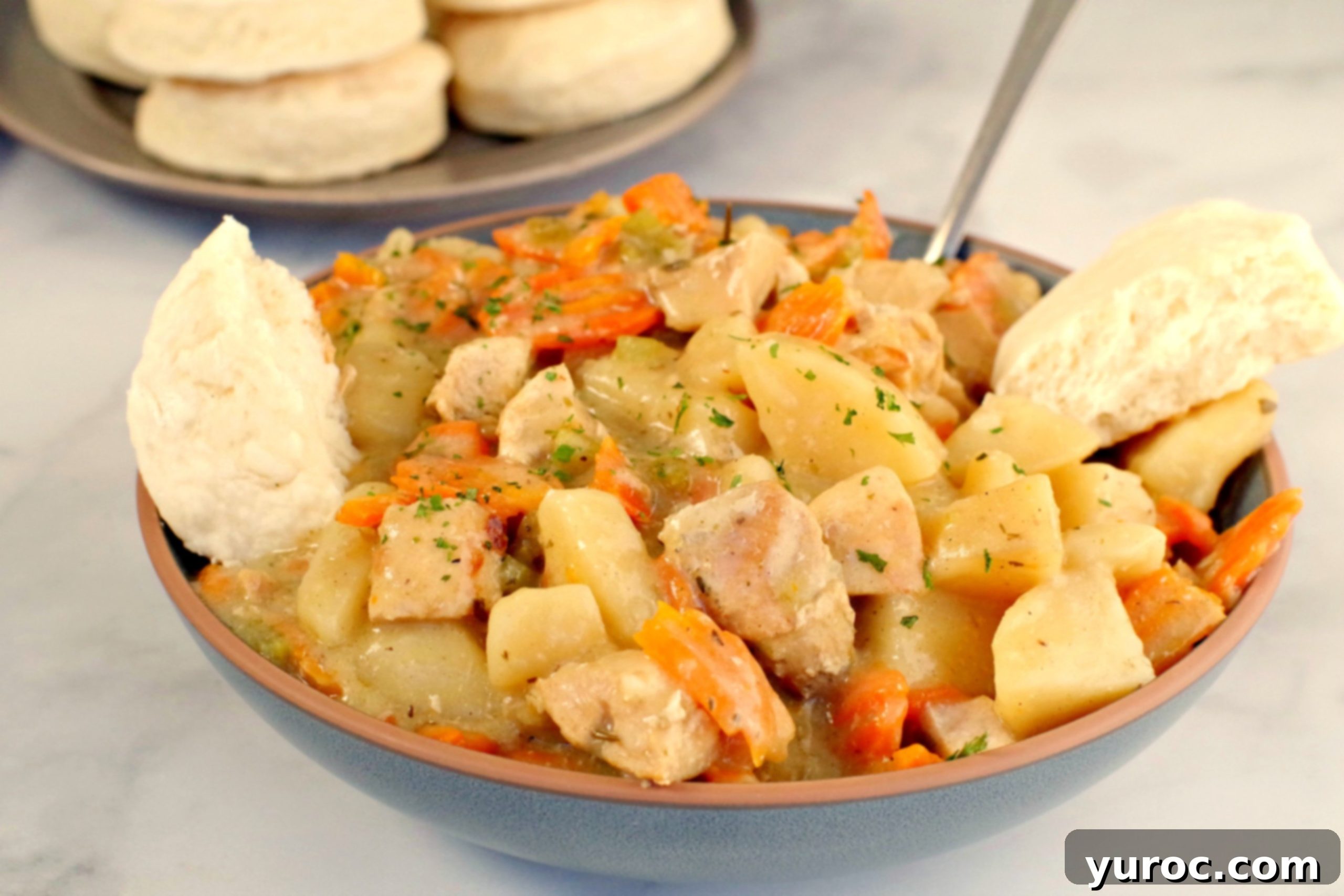 Nourishing Slow Cooker Chicken Stew 12 chicken stew in blue bowl