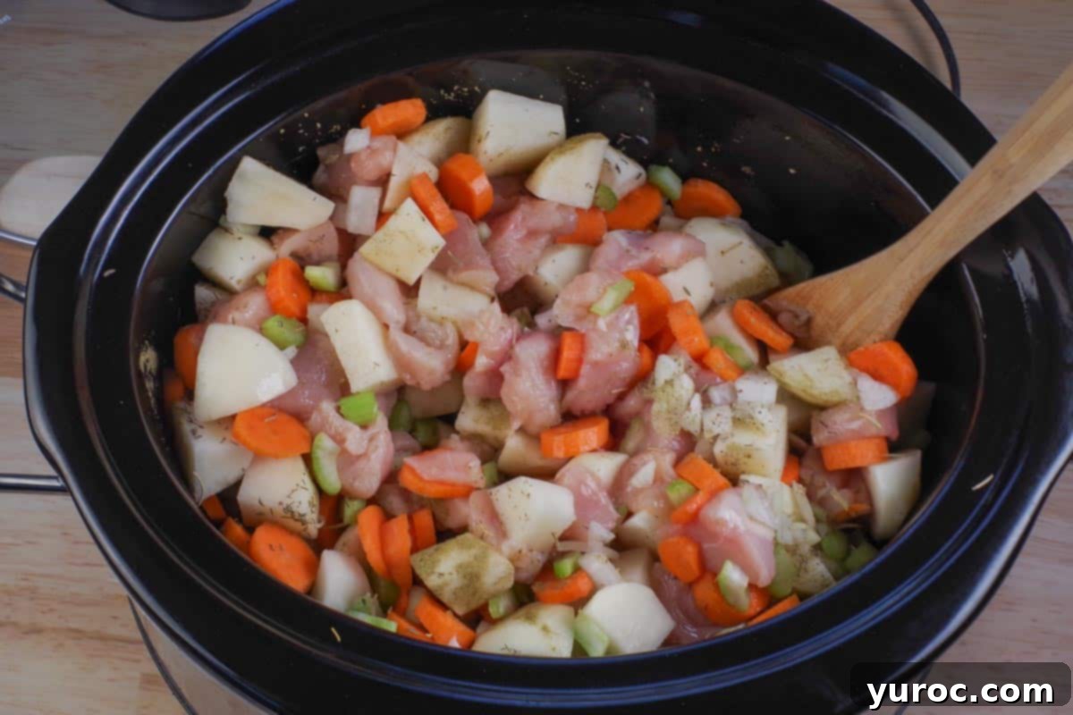 Nourishing Slow Cooker Chicken Stew 5 ingredients in healthy slow cooker chicken stew stirred together in crock pot