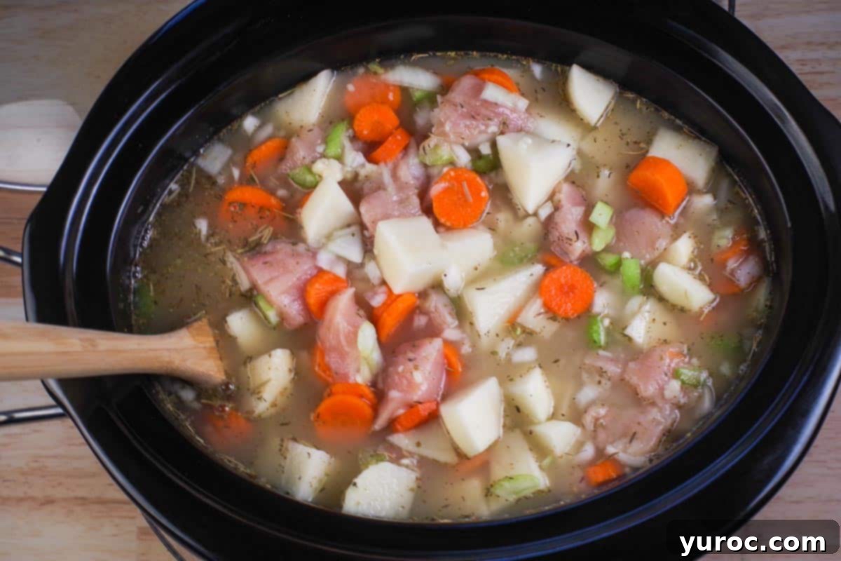 Nourishing Slow Cooker Chicken Stew 6 Cream of chicken soup and chicken soup broth added to crockpot