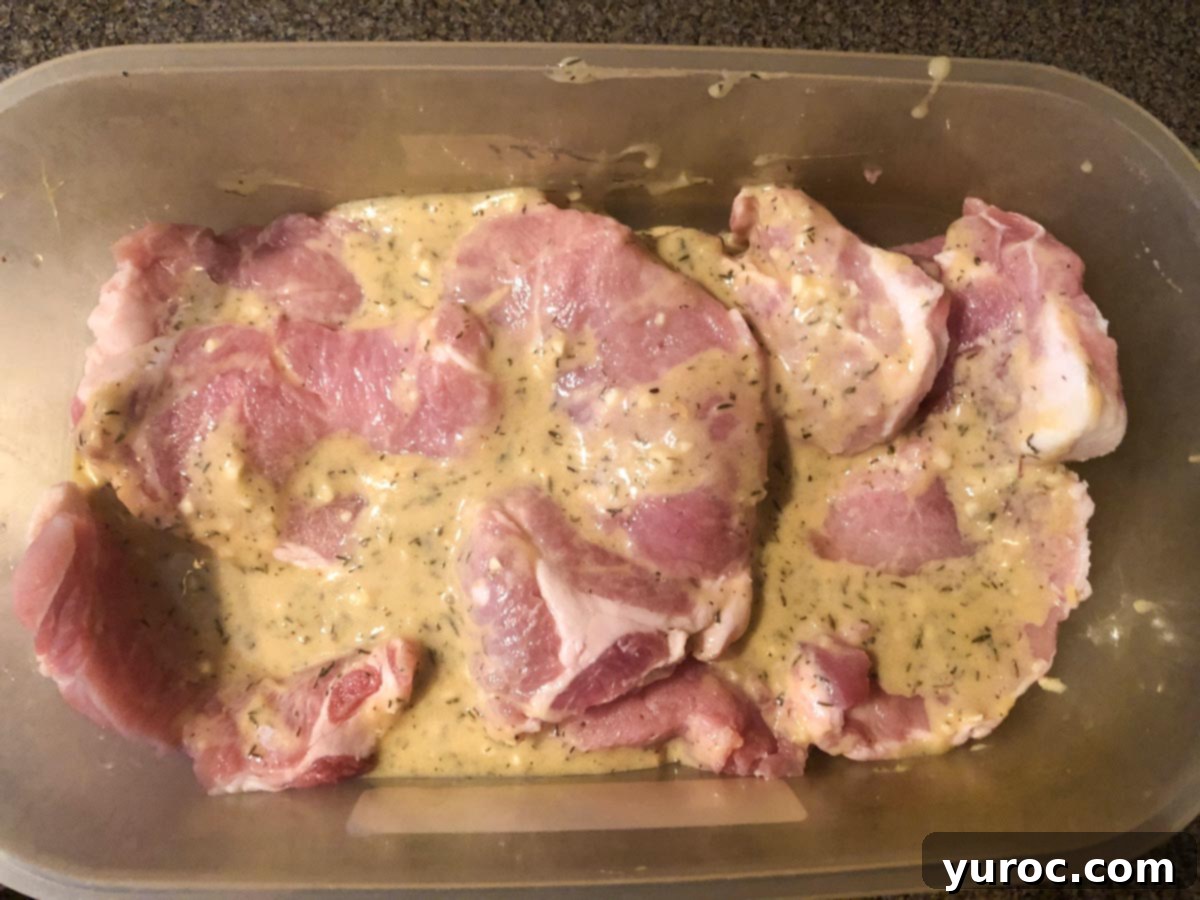 Maple BBQ Pork Loin steaks in marinade in plastic container.