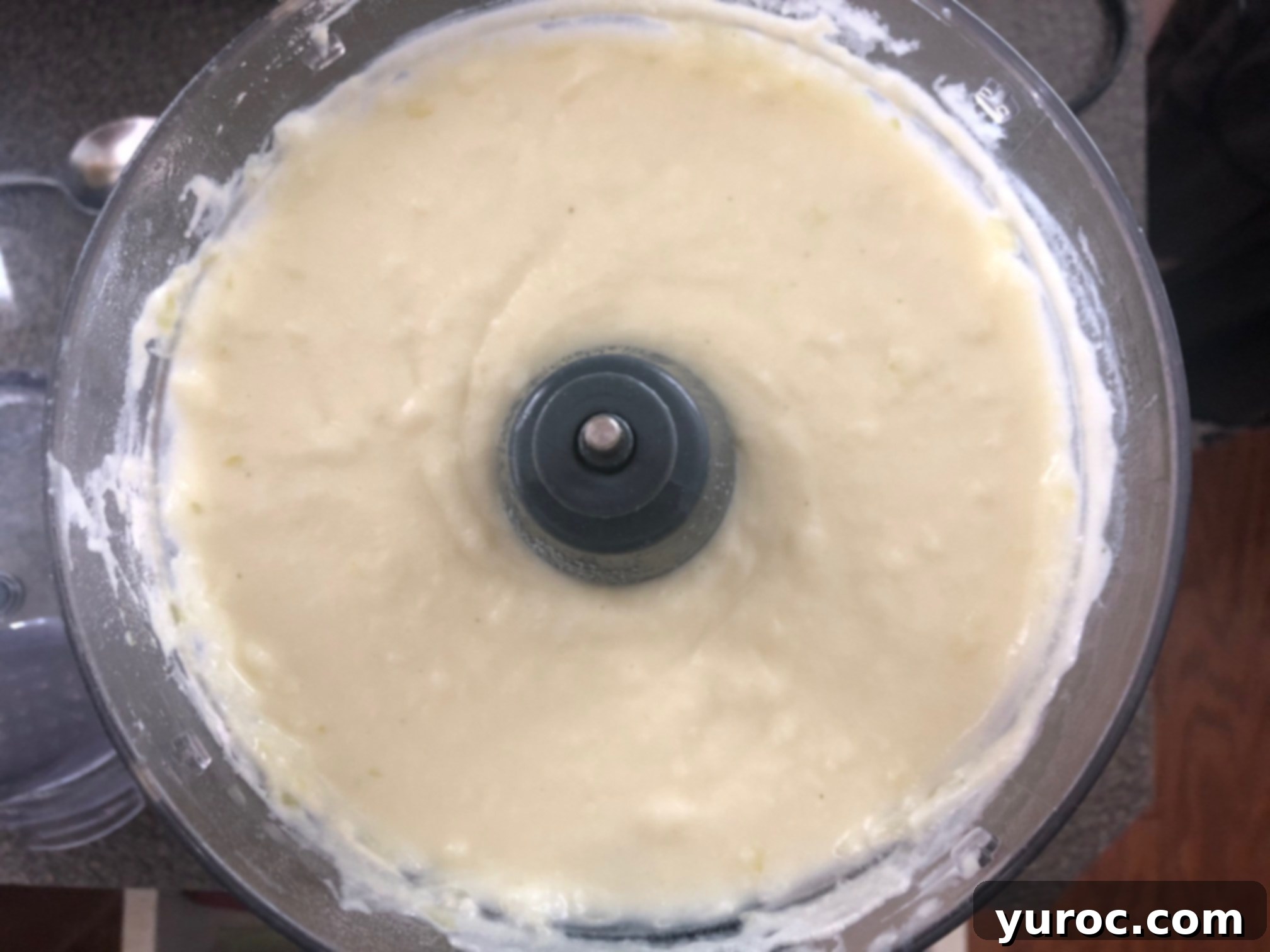 Sumptuous Pierogi Soup 8 vegetables pureed with flour, sour cream and milk