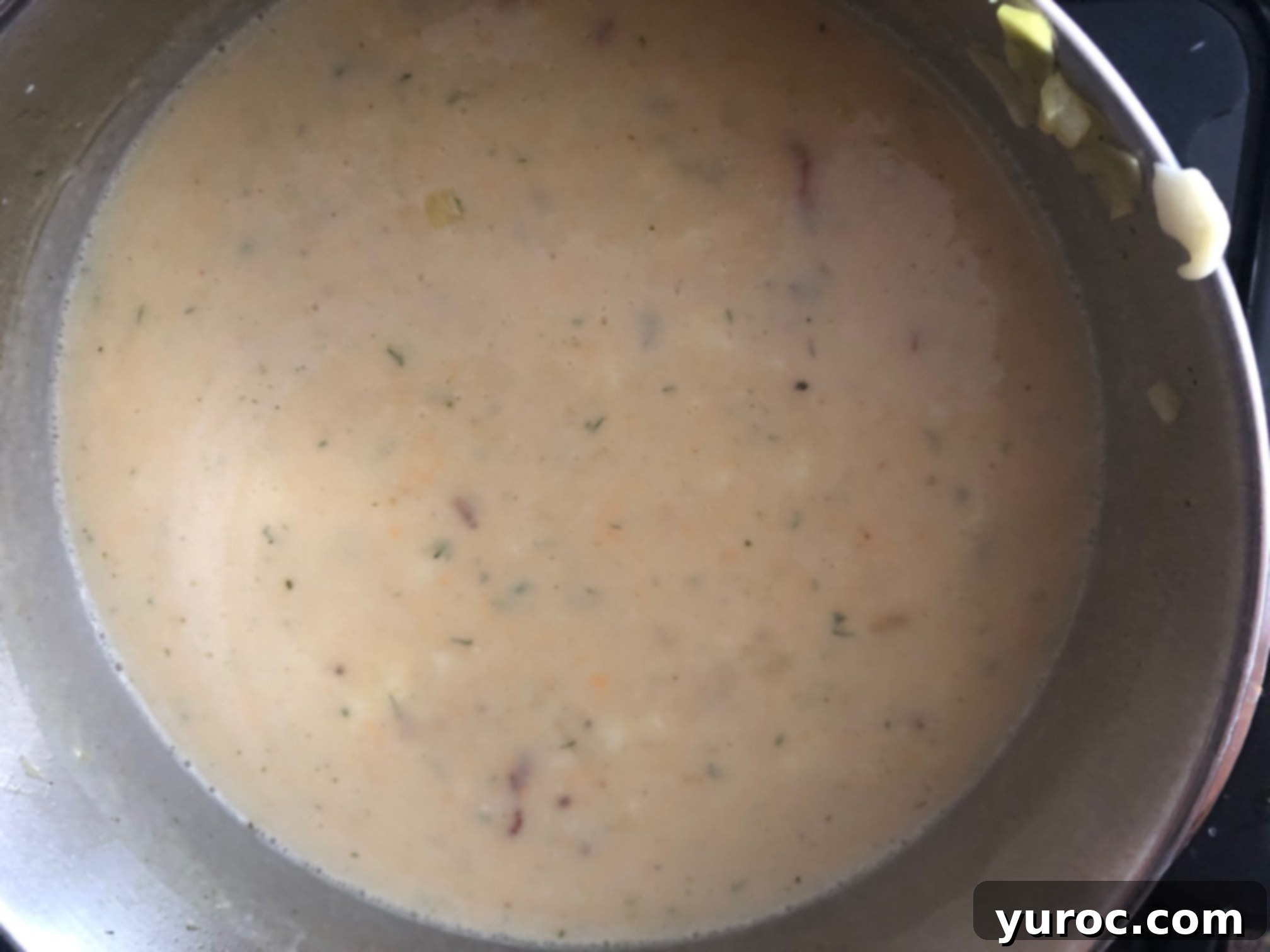 Sumptuous Pierogi Soup 9 Return puree to soup