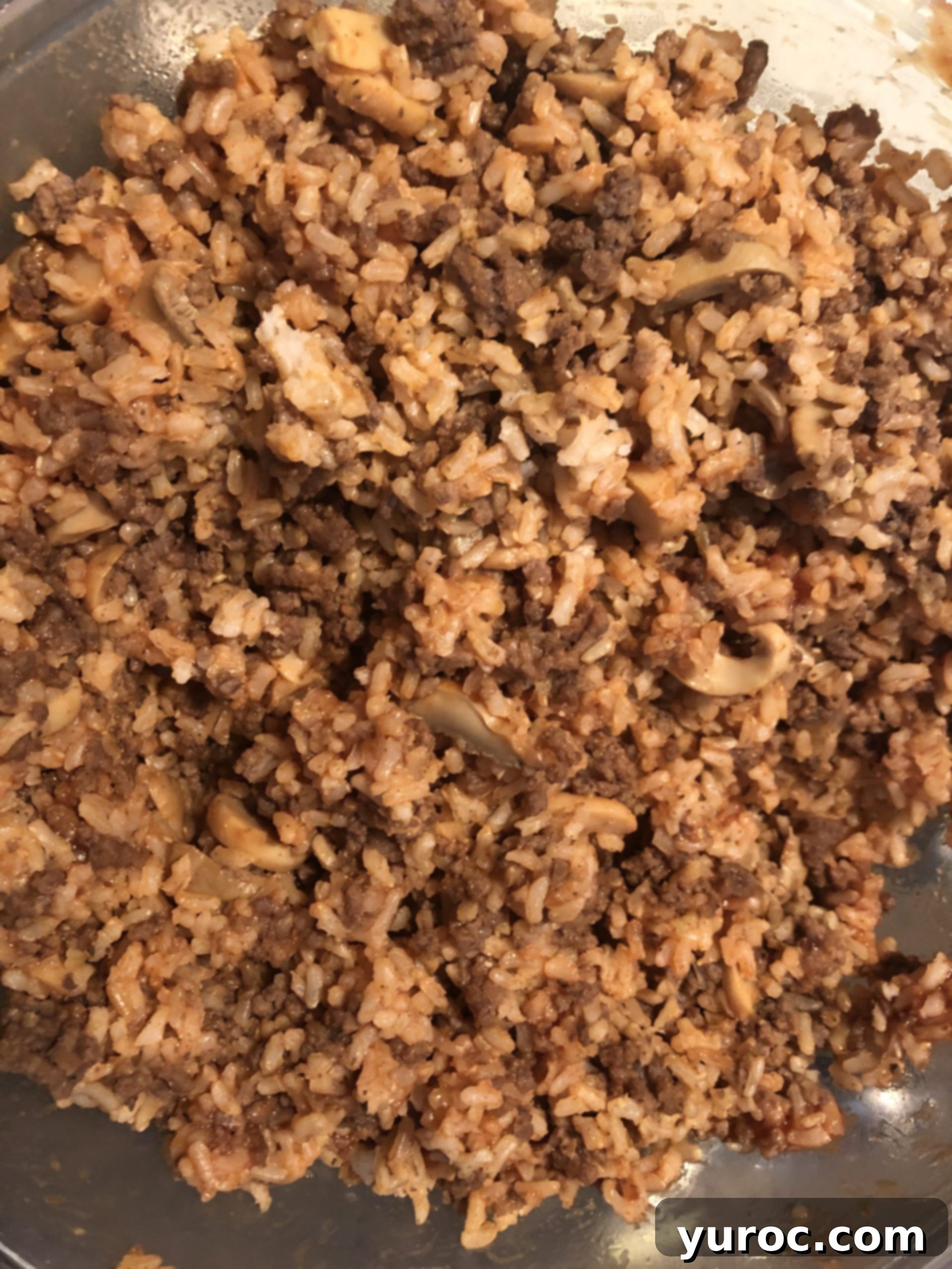 meat and rice mixture