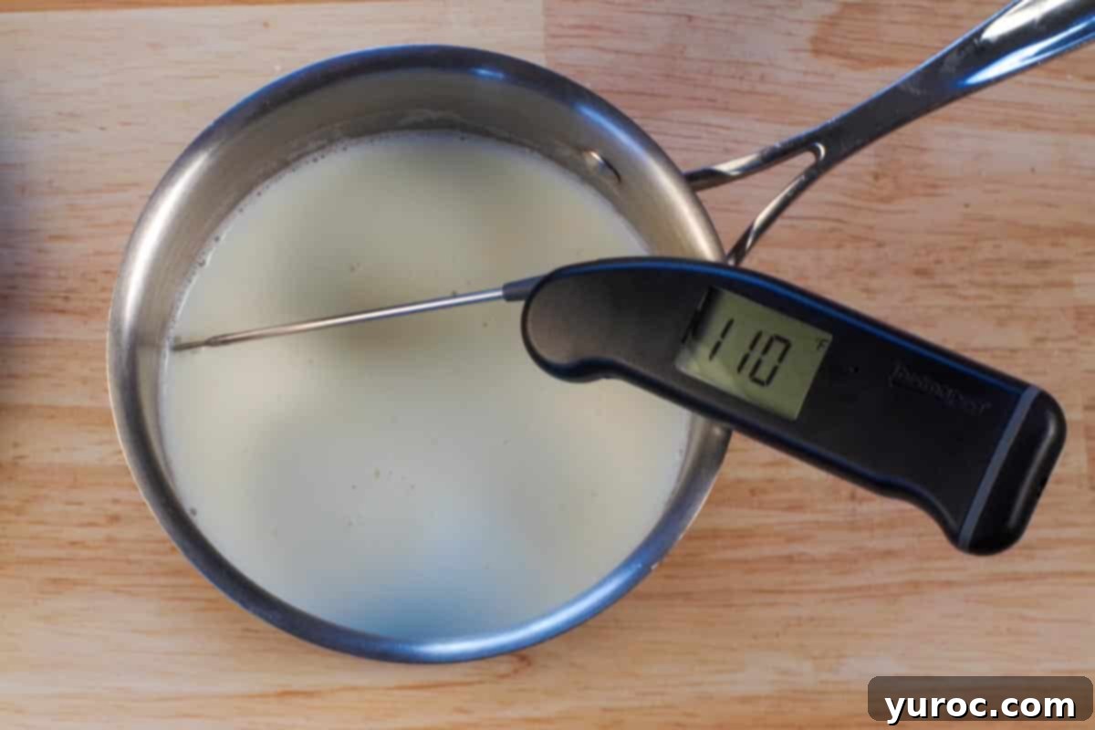 scalded milk in a small saucepan with instant-read thermometer reading 110 degrees F