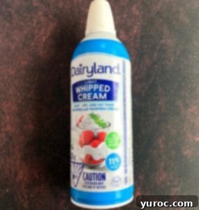 can of whipped cream