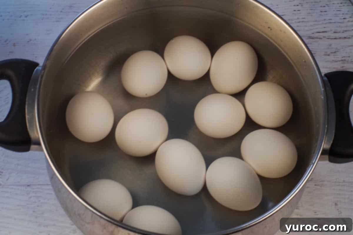 12 eggs in a pot with cold water.