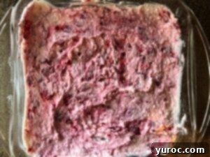 raspberry mixture spread evenly over graham crackers.