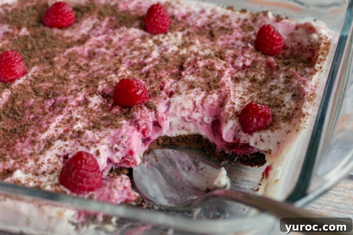 ww cheesecake dessert in glass pan with some missing and a spoon