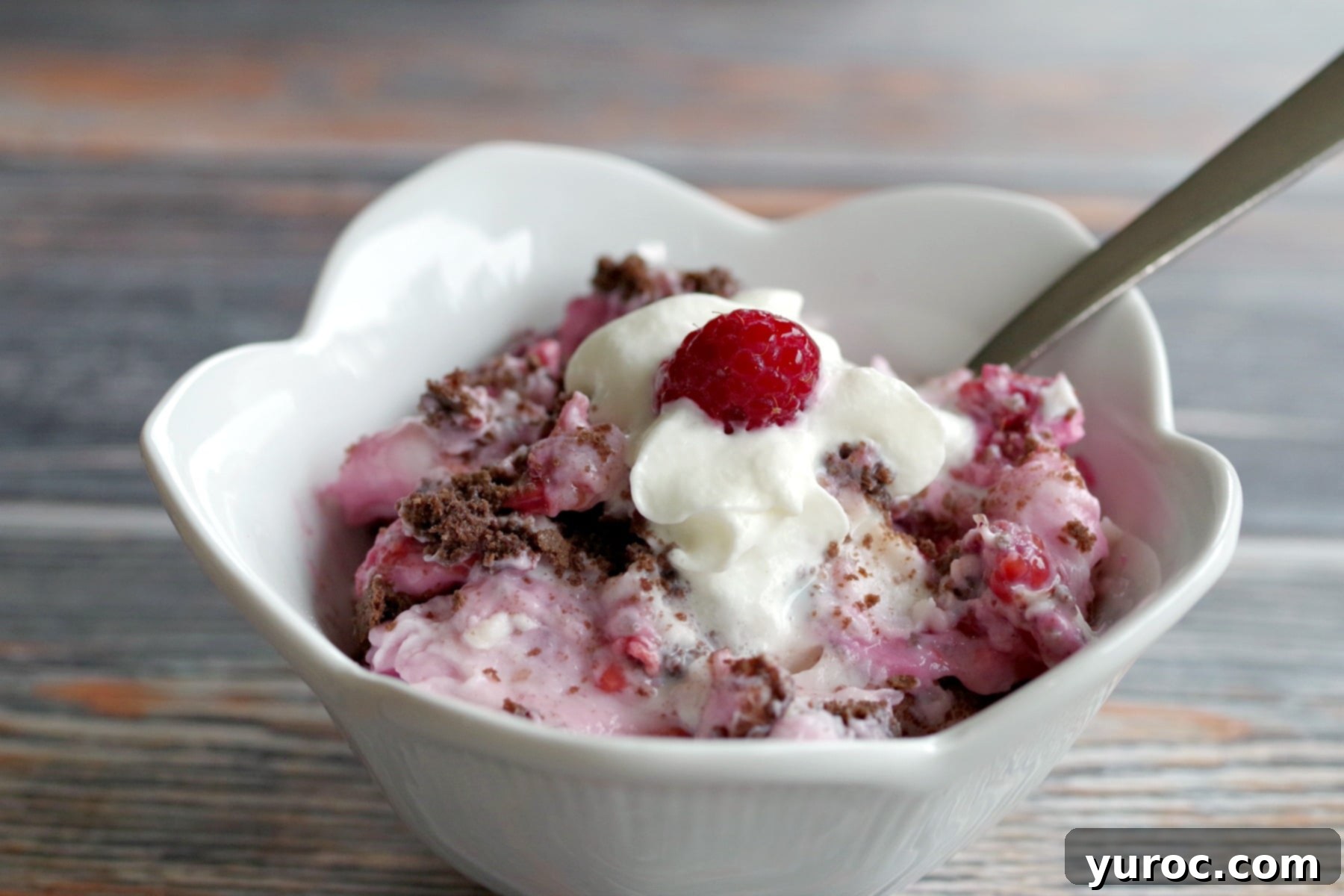 close up of weight watchers white chocolate raspberry cheesecake dessert in a white bowl