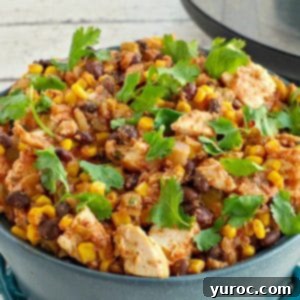 Flavorful and Fit Slow Cooker Mexican Chicken 12 slow cooker mexican chicken in a blue dish with slow cooker in background