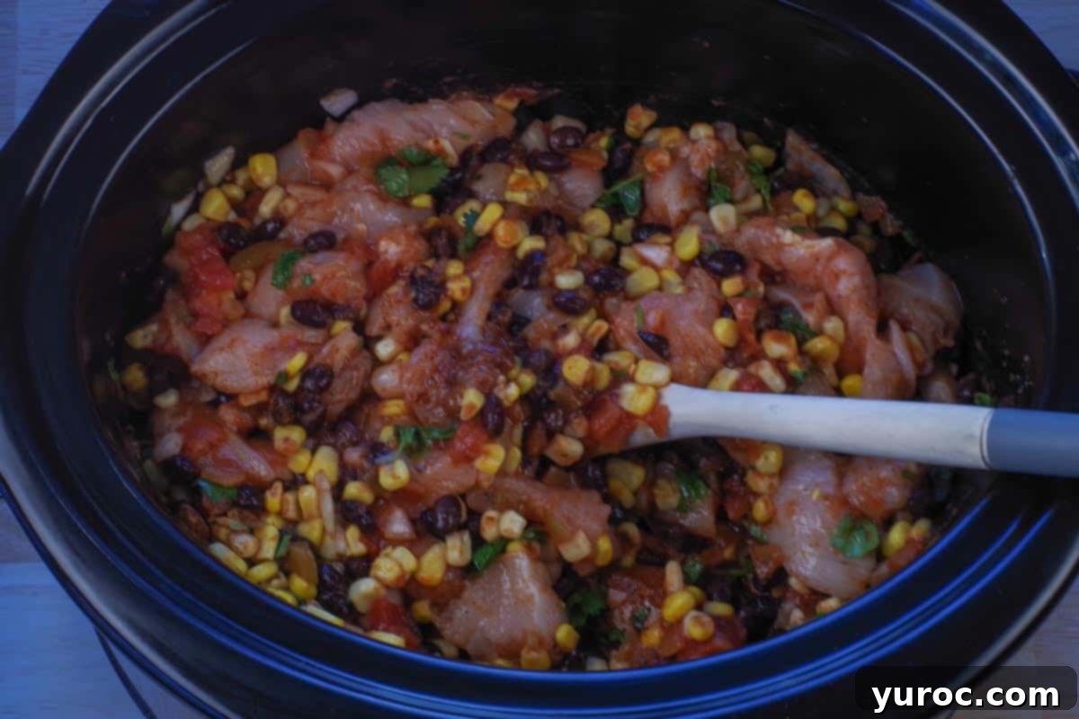 Flavorful and Fit Slow Cooker Mexican Chicken 6 raw ingredients in slow cooker, stirred together