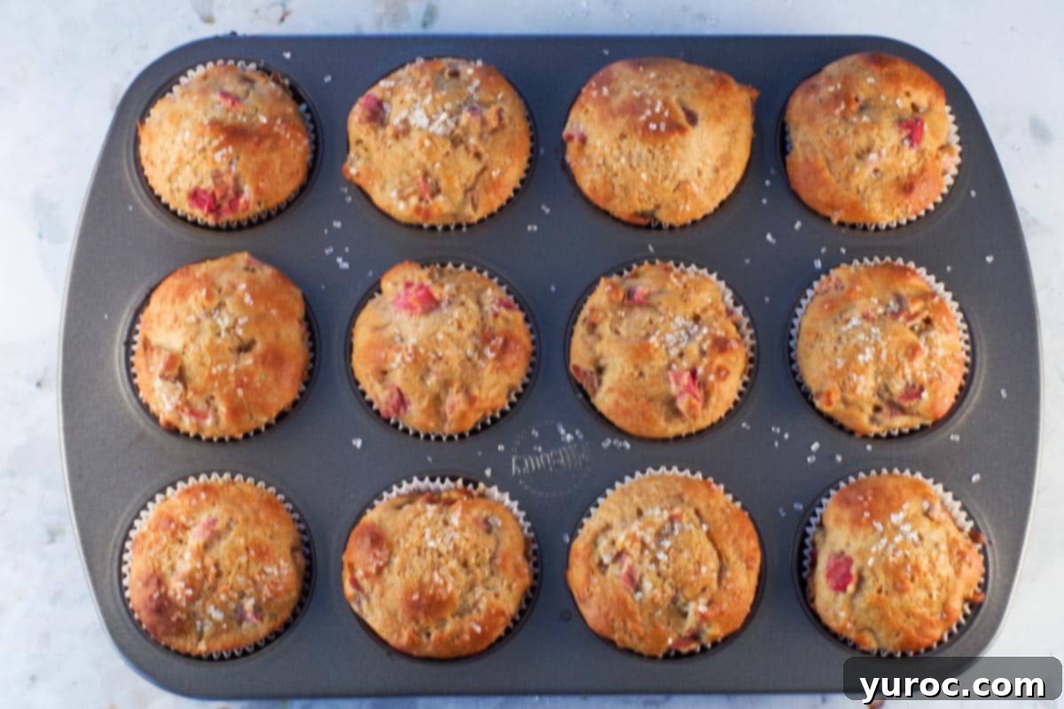 Rhubarb muffins baked in muffin tin, with sparkling sugar on them.