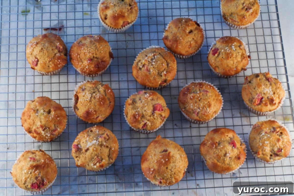 Rhubarb muffins on cooling rack. 