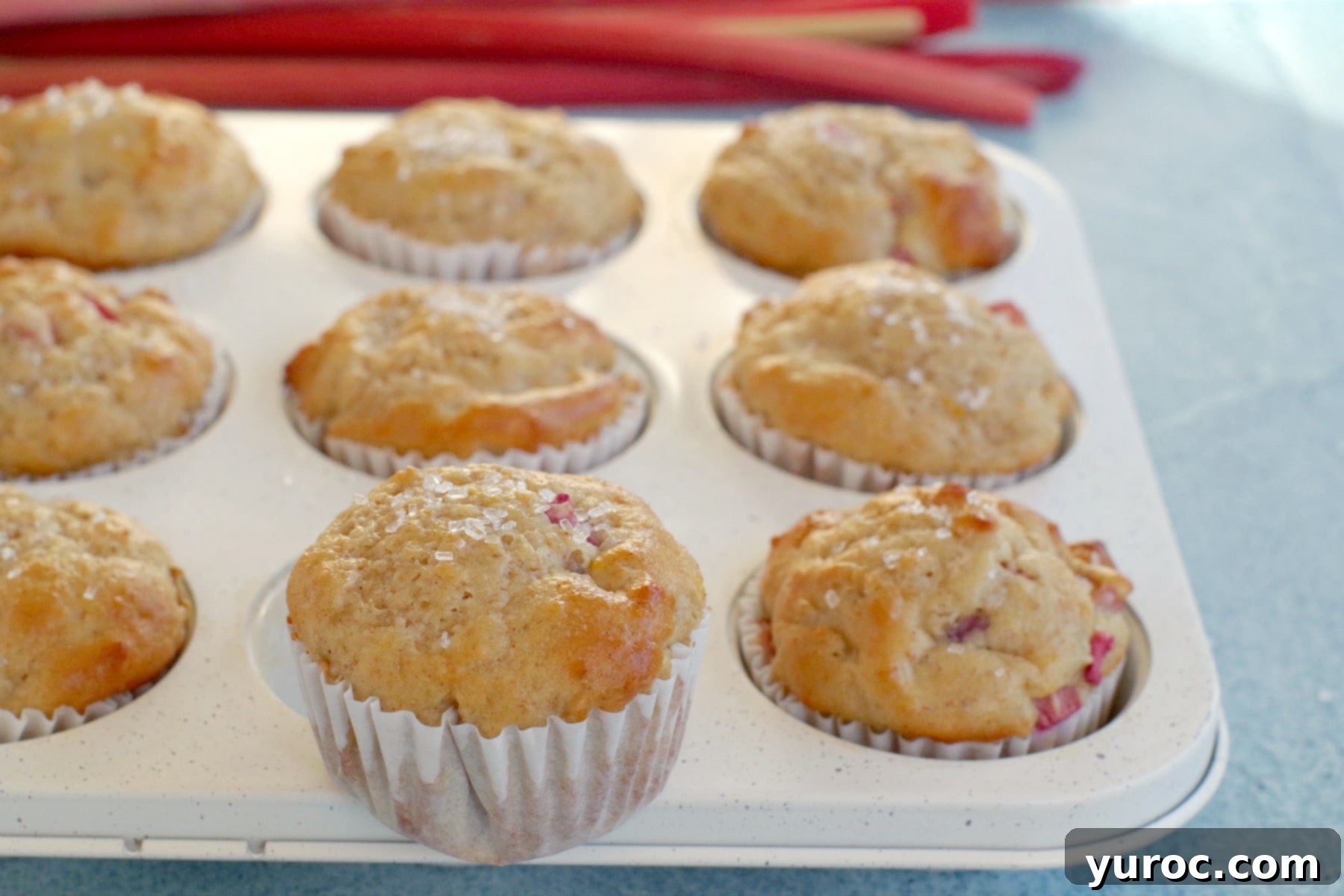 rhubarb muffin on top of a muffin tin