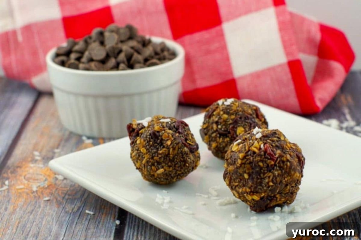 Cherry Chocolate Power Bites 3 Three chocolate cherry energy bites artfully arranged on a white plate, with a background blur showing a bowl of chocolate chips, suggesting the key ingredient.