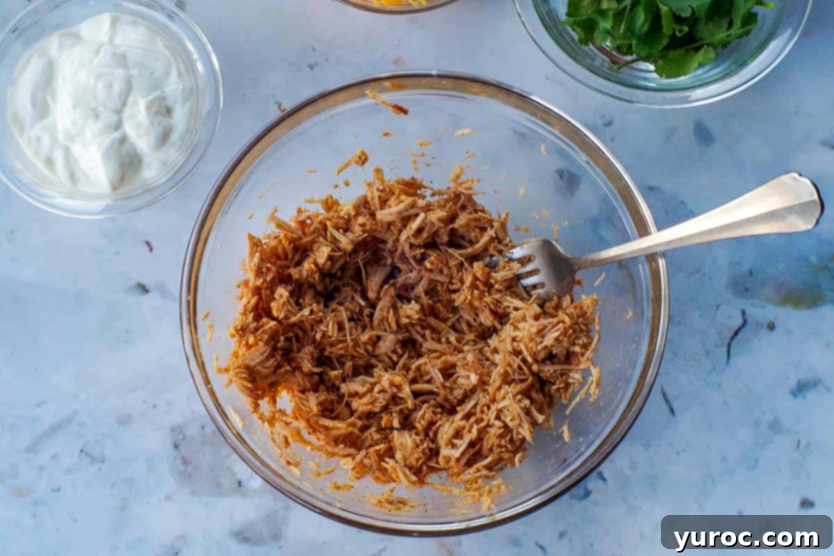 Canned chicken mixed with taco seasoning and water.