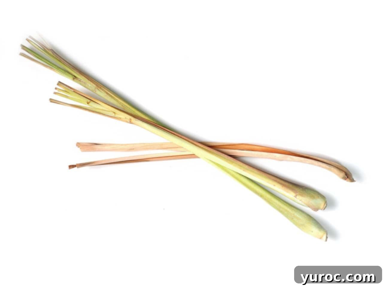 Fresh lemongrass stalks on a white surface, highlighting the tender edible portion