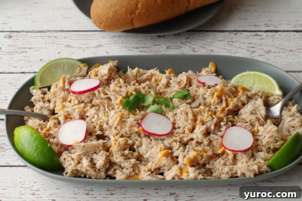 Shredded chicken on a greenish-grey plate, garnished with radishes and lime wedges, with sub buns in the background on a black plate.