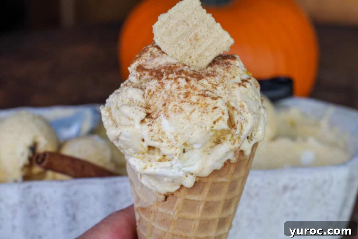 pumpkin pie ice cream in a cone, being held by a hand, in front of a container of ice cream and a pumpkin