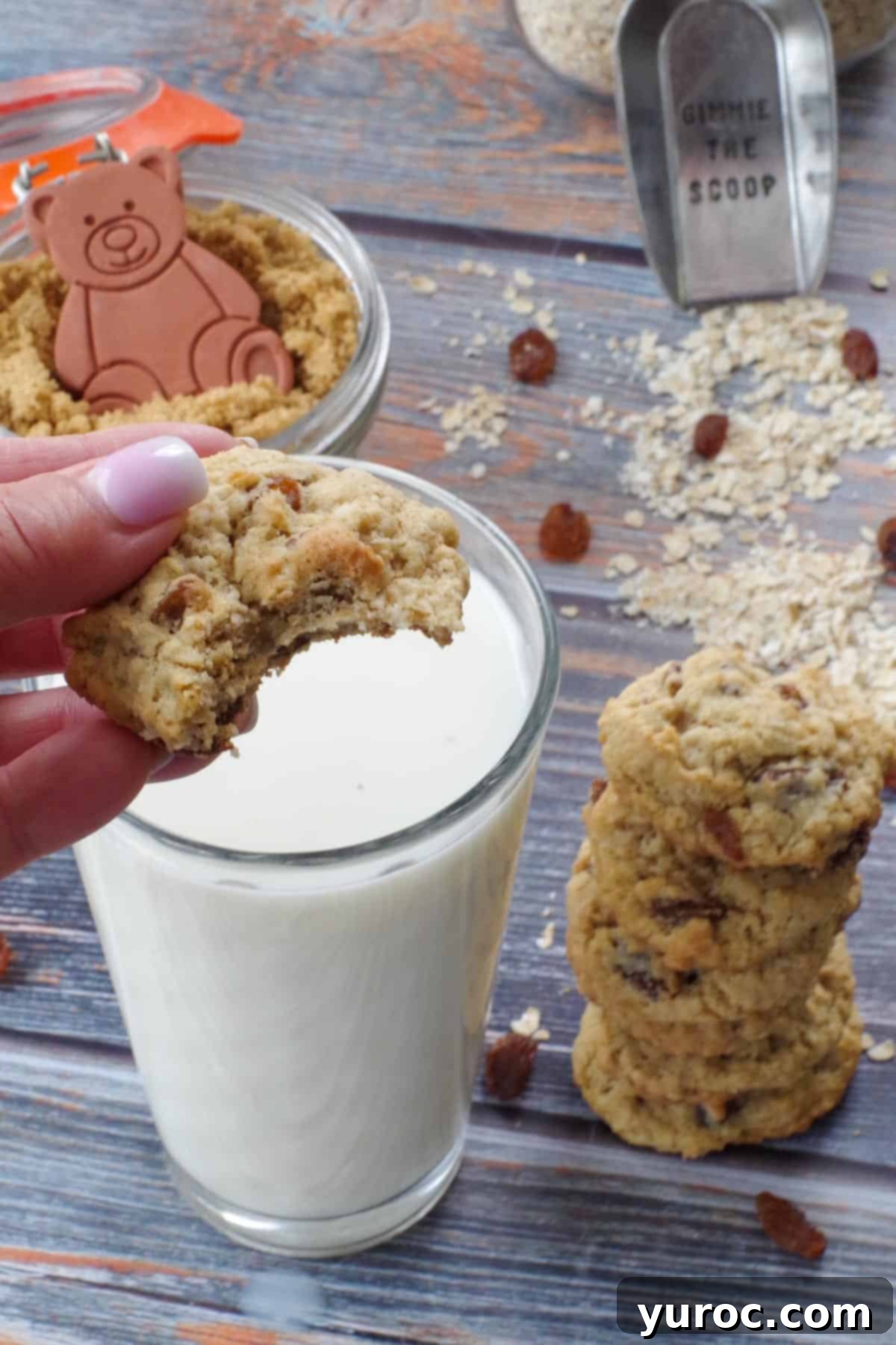 A freshly baked oatmeal raisin cookie dipped into a large glass of milk, with a bite taken out, and a large stack of cookies beside it.