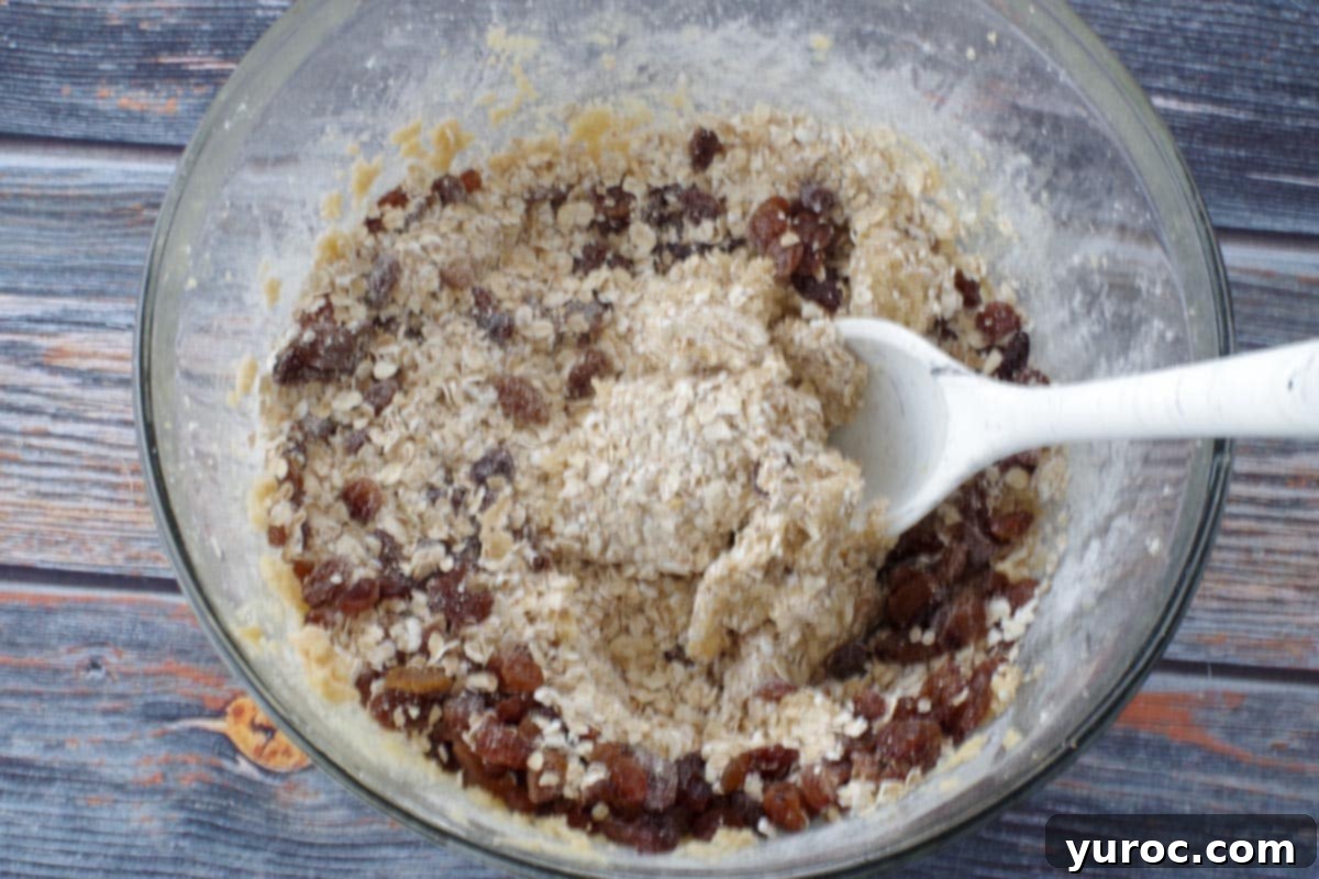 Quick cooking rolled oats and raisins being stirred into the cookie dough mixture in a large glass bowl.