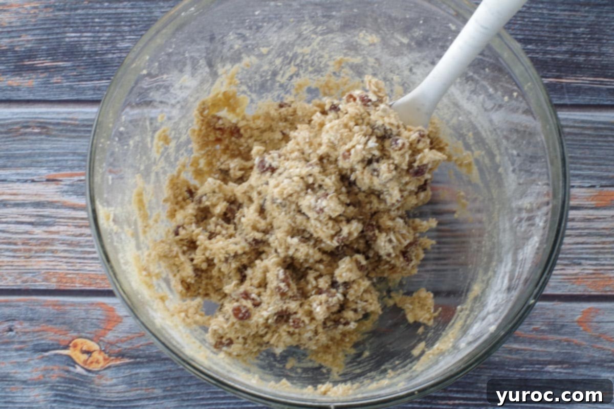 The fully mixed cookie dough mixture, with oats and raisins evenly distributed, in a large glass bowl, being mixed with a large spoon.