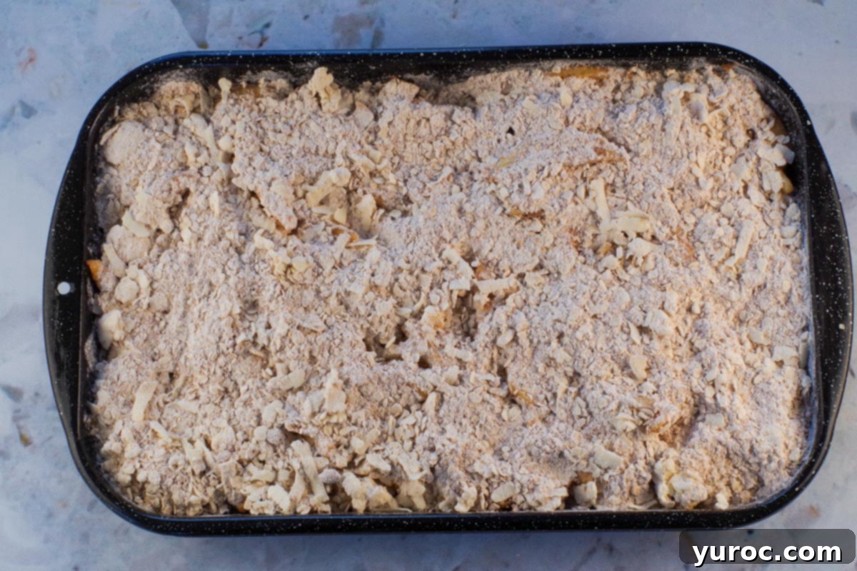 Apple crisp topping mixture sprinkled over apples in pan.