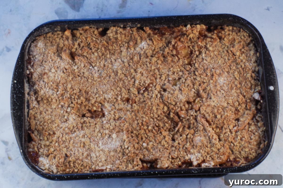 Baked ww apple crisp in pan.