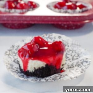 a mini cherry cheesecake on a damask print muffin wrapper, with a red speckled muffin tin ofmini cherry cheesecakes in the background