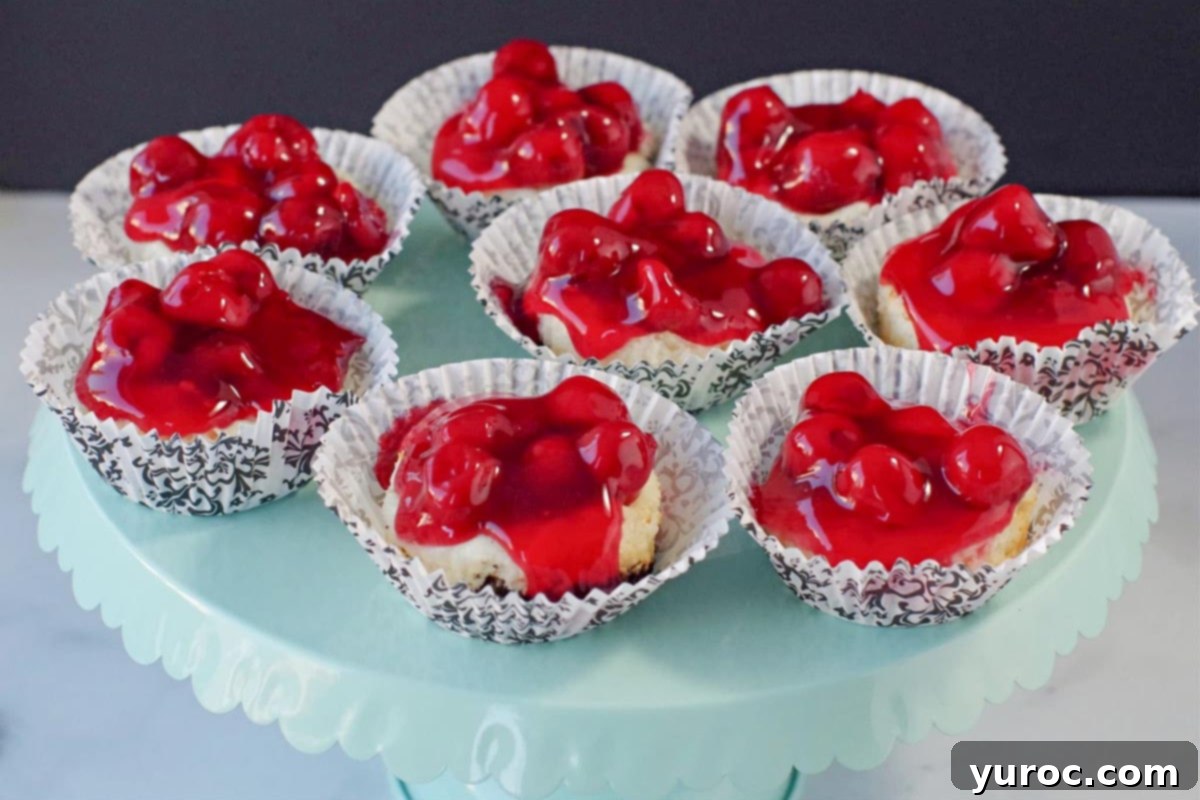 8 mini cherry cheesecakes in black and white damask print muffin liners on a light turquoise cake stand