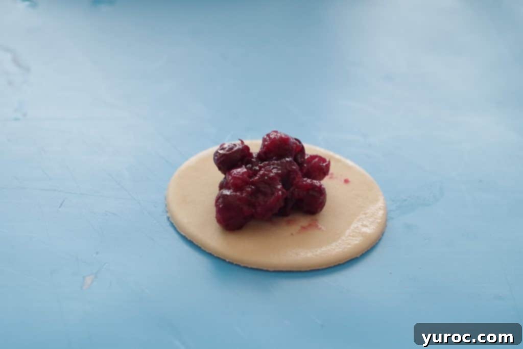 Saskatoon berry filling placed in the center of perogy dough circles
