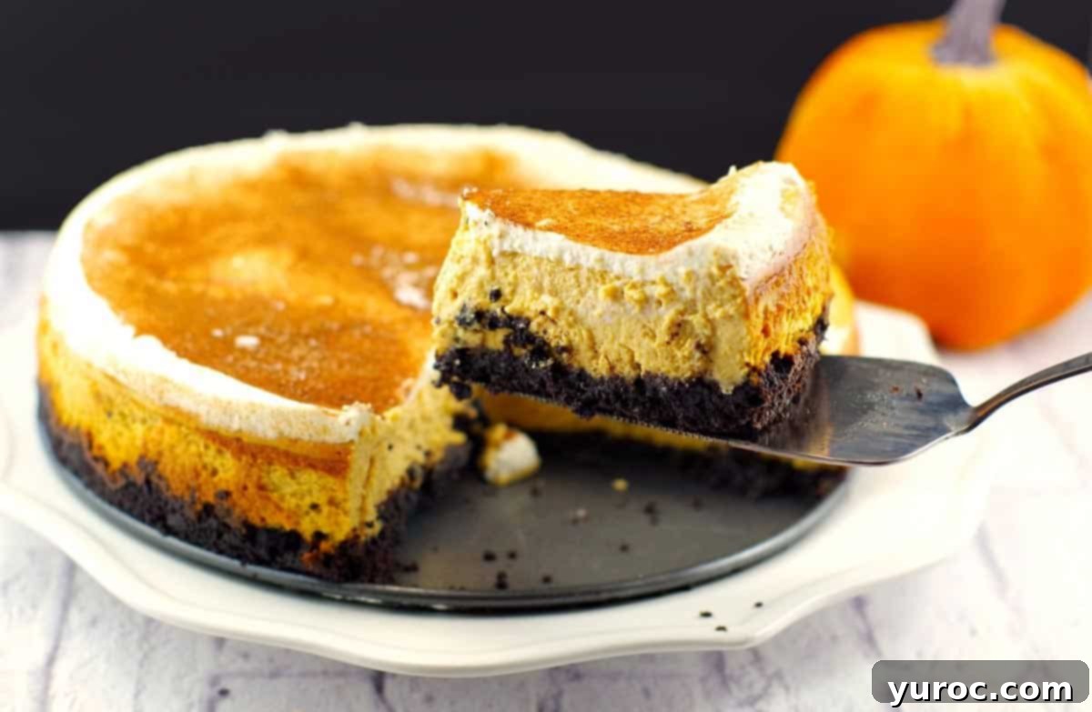 Light Pumpkin Oreo Cheesecake 1 A slice of light pumpkin cheesecake being lifted from a plate, showcasing its creamy texture and Oreo crust.