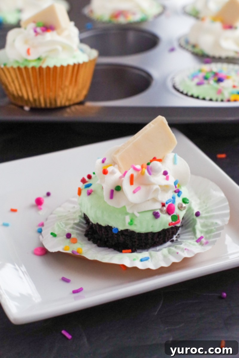 Effortless No-Churn Ice Cream Cupcakes 8 ice cream cupcake on a white plate with muffin tin in the background