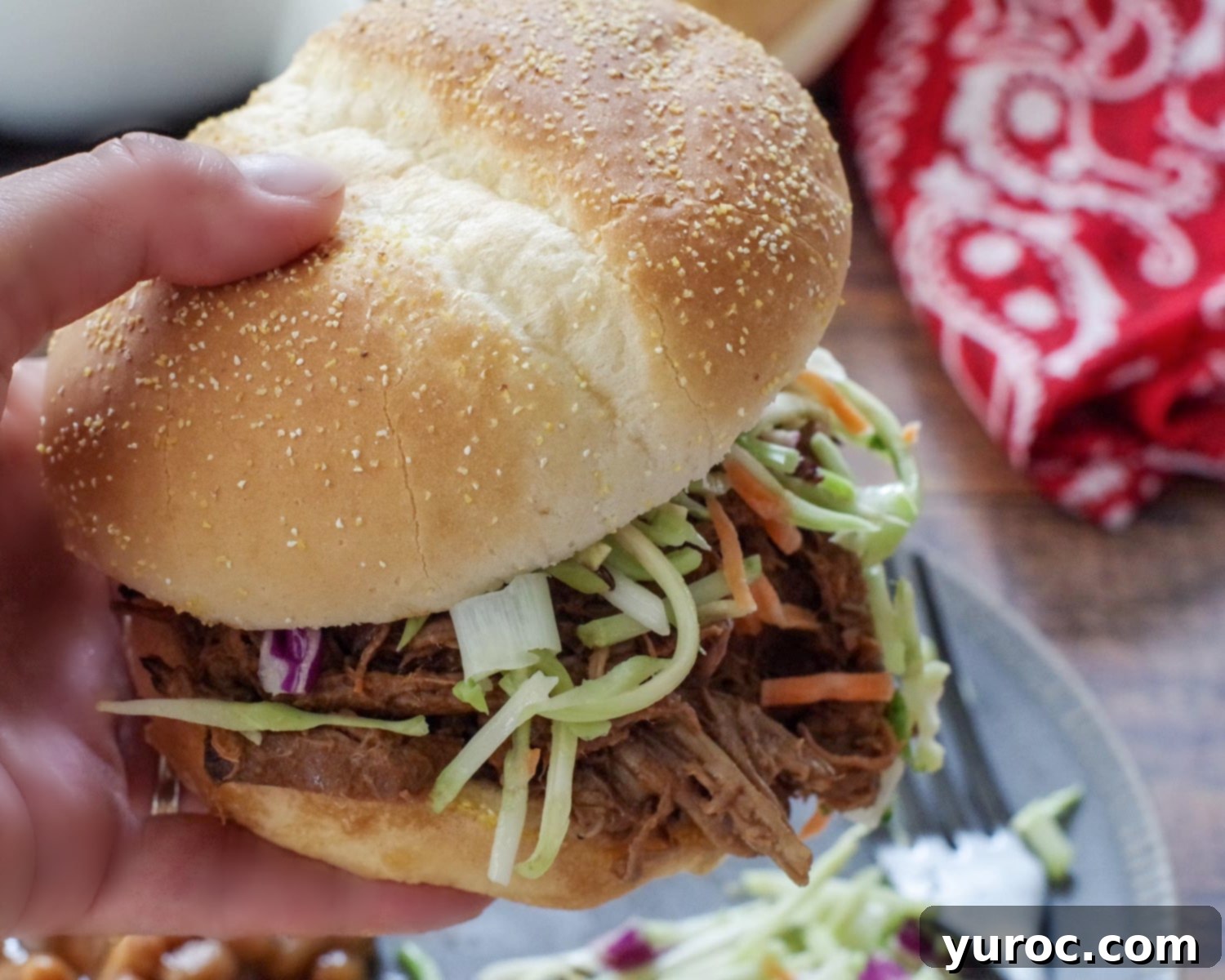 hand holding up beef on a bun over grey plate