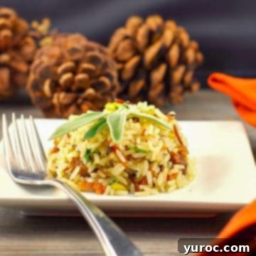 Apple rice with sausage on a white plate with pine cones in the background.
